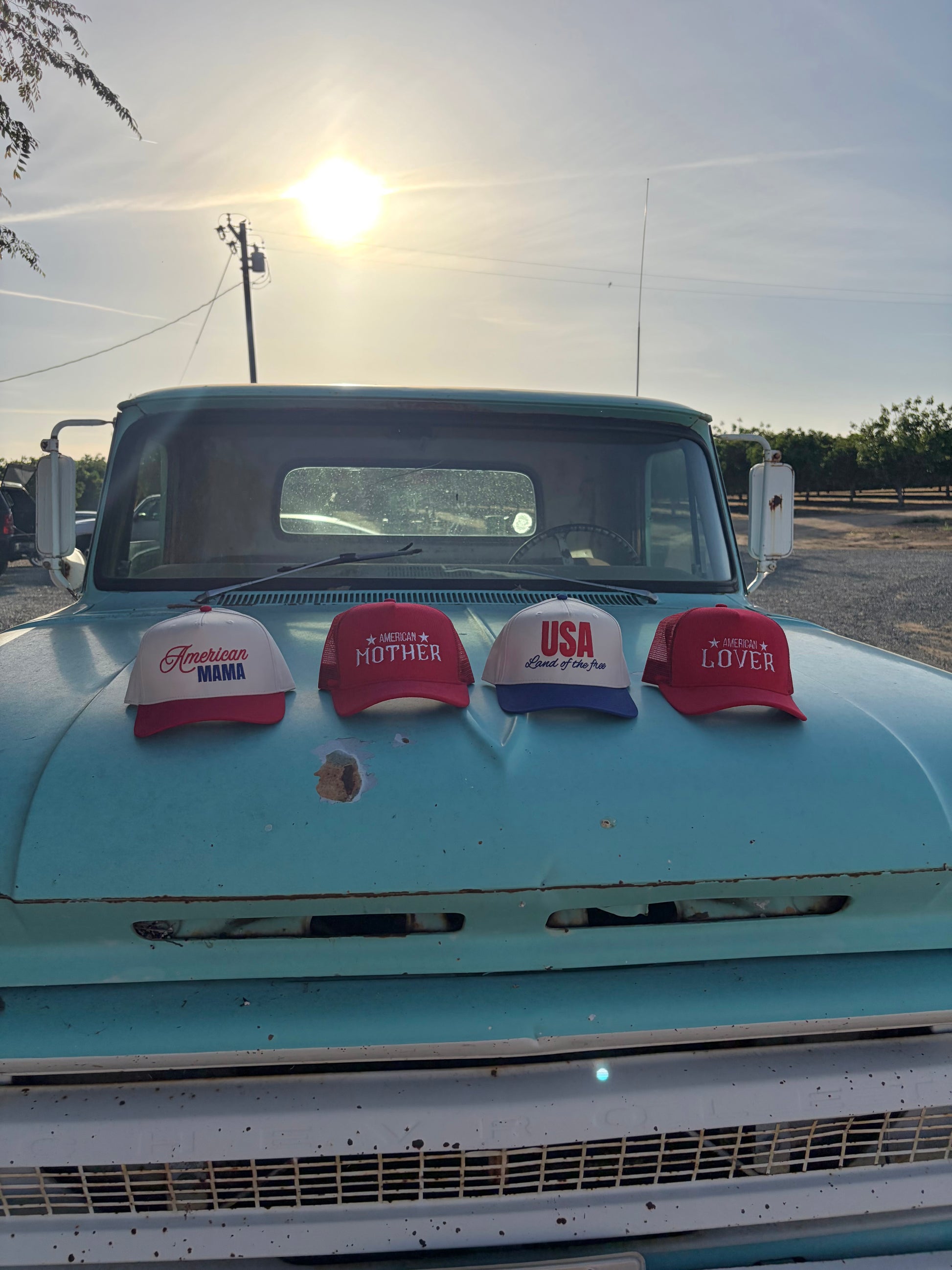 USA land of the free