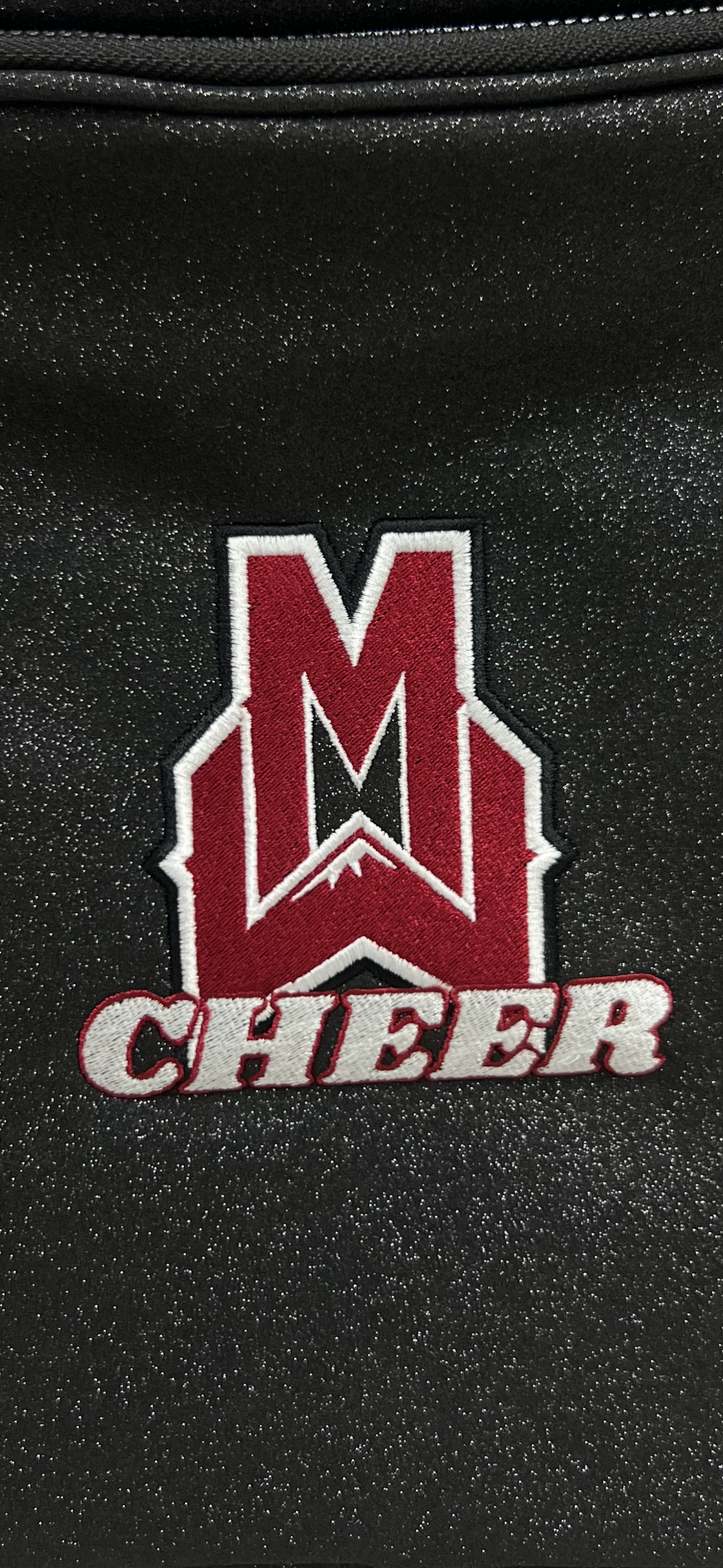 MWHS cheer