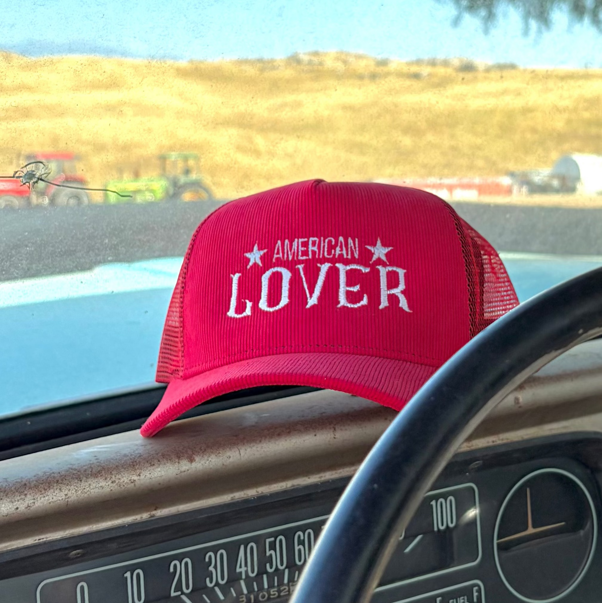 American Lover